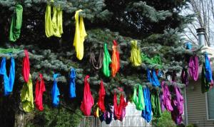 Hanging Panties